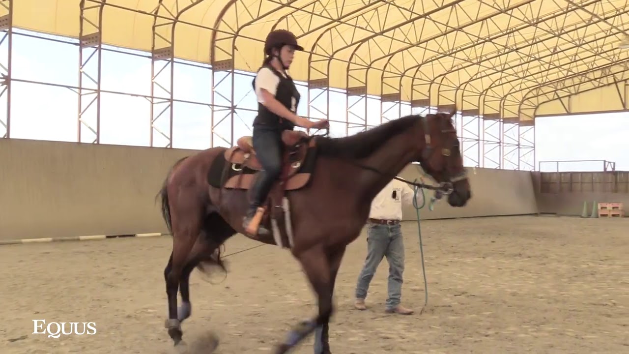 ゆっくりとした速歩の維持と安定した騎座のトレーニング