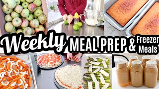 EASY WEEKLY MEAL PREP RECIPES COOK WITH ME LARGE FAMILY MEALS WHATS FOR DINNER MONTHLY FREEZER MEALS