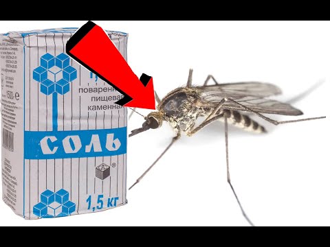 Как избавиться от комаров за 3 минуты!