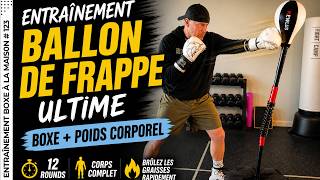 12 Rounds Ballon de Frappe 🔥 Entraînement Corps Complet (Tous Niveaux)