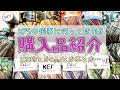 【購入品紹介】KFSさんの催事に行ってきたので諸々ご紹介★100均+Opal+本+おやつ【おしゃべり作業動画】
