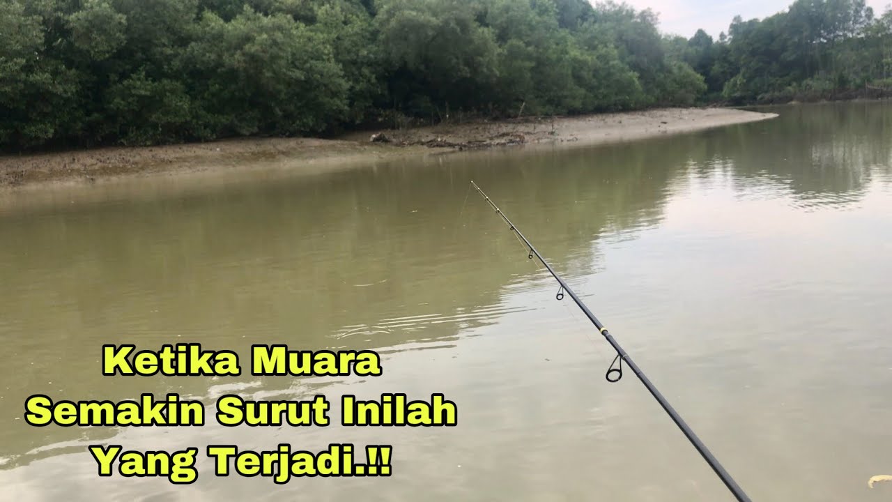 KETIKA MUARA SEMAKIN SURUT INILAH YANG TERJADI.!! MANCING IKAN KAKAP