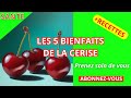 Les 5 Incroyables Bienfaits Des Cerises Pour La Santé Cerise Bienfait Santé Dormir Les 5 Incroyables Bienfaits Des Cerises Pour La Santé Cerise Bienfait Santé Dormir