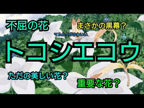 メイドインアビス トコシエコウ 黒幕説なるもの 深き魂の黎明 Youtube