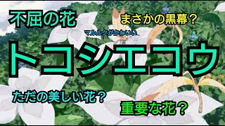 メイドインアビス トコシエコウ 黒幕説なるもの 深き魂の黎明 Youtube