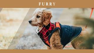 12 Furry Lightroom Presets Mobile Filters Photoshop Actions Instagram Animals Cat Dog Blogger