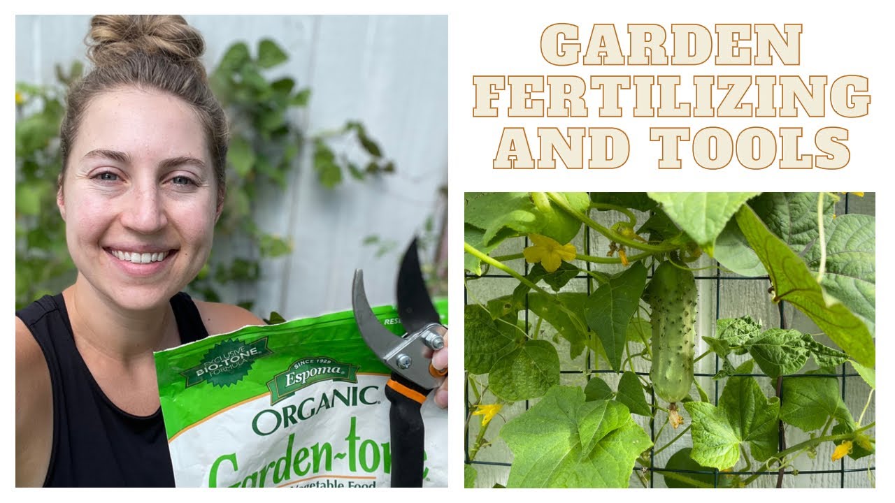 Vegetable Garden Maintenance, Fertilizing, and Watering Tips & My