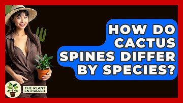 How Do Cactus Spines Differ By Species? - The Plant Enthusiast