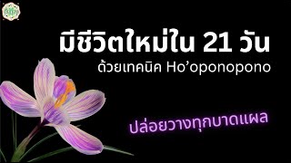 พลิกชีวิตด้วยเทคนิค Ho’oponopono ภาษาไทย 1 ชั่วโมง | ตื่นทอง