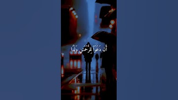 #اكتب_شي_تؤجر_عليه #قرآن #تلاوة_خاشعة #ماهر_المعيقلي #خالد_الجليل #ياسر_الدوسري #قران_كريم