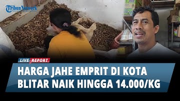 Naik Rp 2.000/Kg, Harga Jahe Emprit di Kota Blitar Capai Rp 14.000/Kg