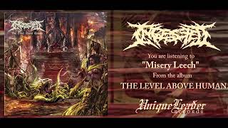 INGESTED THE LEVEL ABOVE HUMAN FULL ÁLBUM