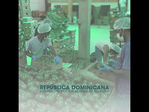 Vídeo: Conozca A Un Experto: República Dominicana - Matador Network