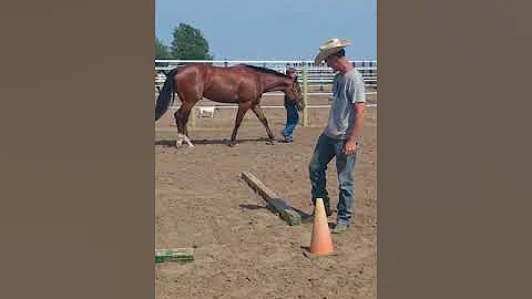 Brunp and Evan showmanship
