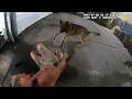 Car Thief Fought a Police K9 and It Got Ugly Fast