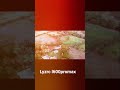 lyzrc l600promax