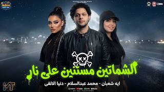 الشماتين مستنين على نار   مرضيش بالعيشه   دنيا الالفى   ايه شعبان   محمد عبسلام ترند  شعبى      سمعها