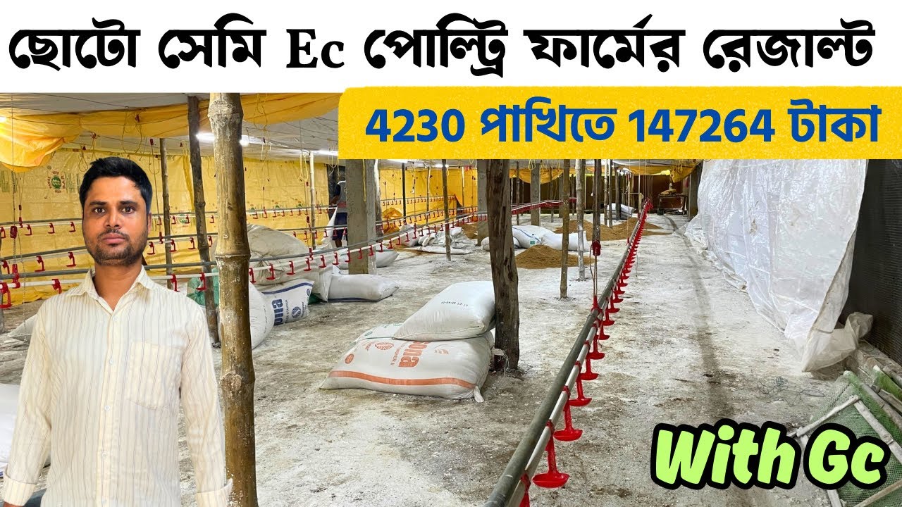 ছোট সেমি Ec ফার্মের রেজাল্ট | Low Cost Semi Ec Farm Result