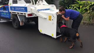 TRC gets a K-9 Kube TRC gets a K-9 Kube