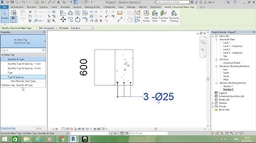 cách tạo 1 family tag thép theo TCVN