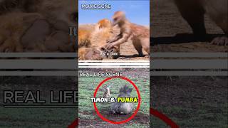 Timon & Pumbaa In Real Life