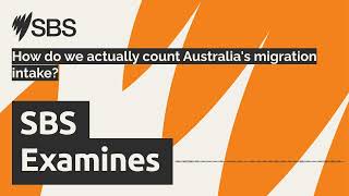 How do we actually count Australia's migration intake | SBS Examines