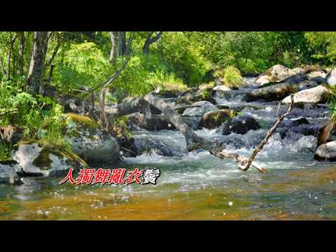 石頭記  陳慧琳〈演唱版〉