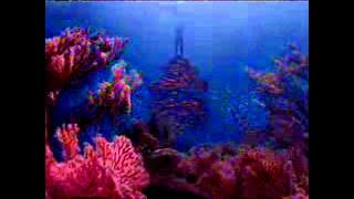 Download lagu RCTI Djarum Black 23 16