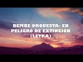 BEMBE ORQUESTA  EN PELIGRO DE EXTINCION LETRA