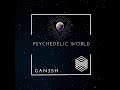 Gan3sh - Psychedelic World (Original mix)  •FREE DOWNLOAD•