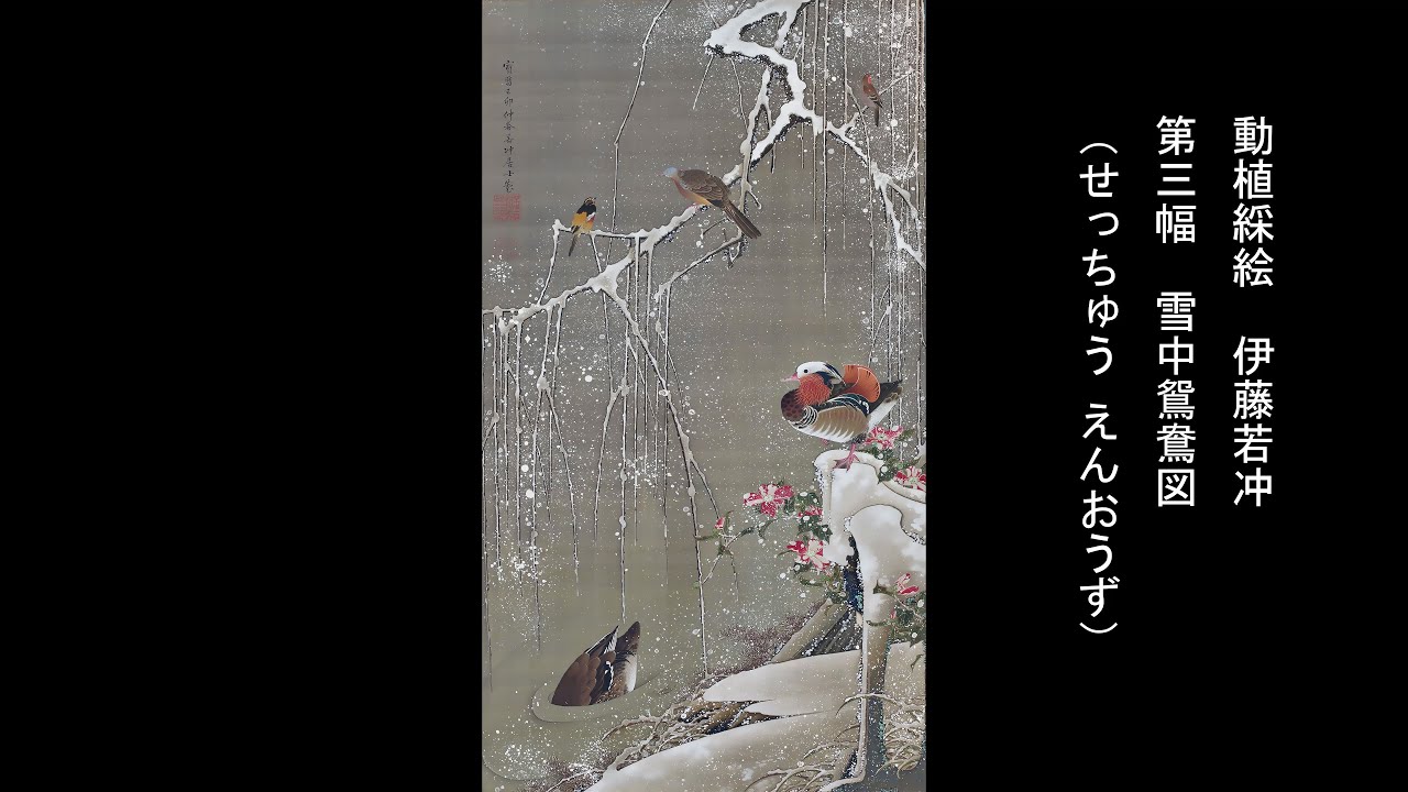 動植綵絵 伊藤若冲 「第三幅 雪中鴛鴦図 （せっちゅう えんおうず