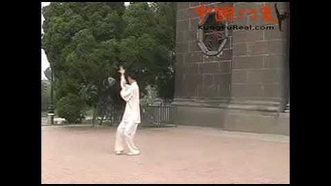 Bagua Eight Palms  baguazhang instructional videos--old palm and change palm demonstration