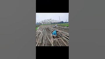 Thumbnail of Proses Pembuatan GreenHouse Sederhana