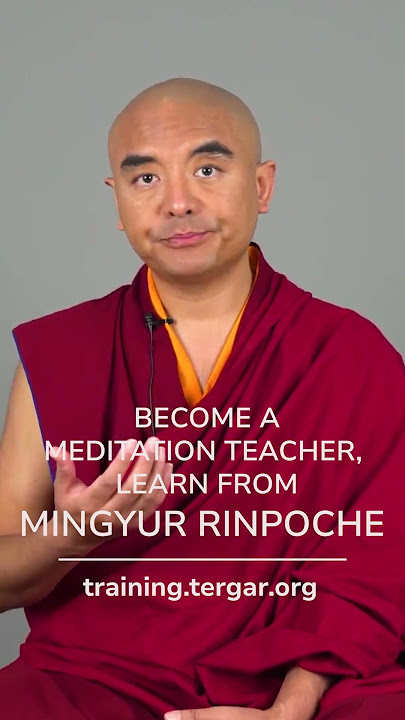 Join Tergar Meditation Teacher Program, Learn from Mingyur Rinpoche