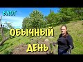 САМЫЙ ОБЫЧНЫЙ ДЕНЬ на ДАЧЕ!