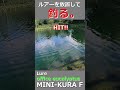 ルアーをあえて動かさずに釣る。#shorts #fishing #管理釣り場 #エリアトラウト #trout