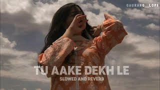 TU AAKE DEKH LE__😍..... 🫶-- KING ( SLOWED AND REVERB )