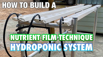 How to Build & Set Up a NFT Hydroponic System