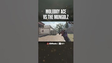 This is why you ALWAYS drop AWPs to molodoy 😌