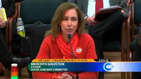 Meredith Goldstein Is Obvlivious Of Current Laws