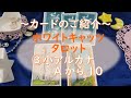 ホワイトキャッツタロット～カードのご紹介～③（小アルカナ・Aから１０）