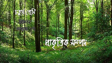 ৪র্থ শ্রেণির বিজ্ঞান অধ্যায় ৭| প্রাকৃতিক সম্পদ (সম্পূর্ণ অনুশীলনী) | Class 4 Science Chapter 7