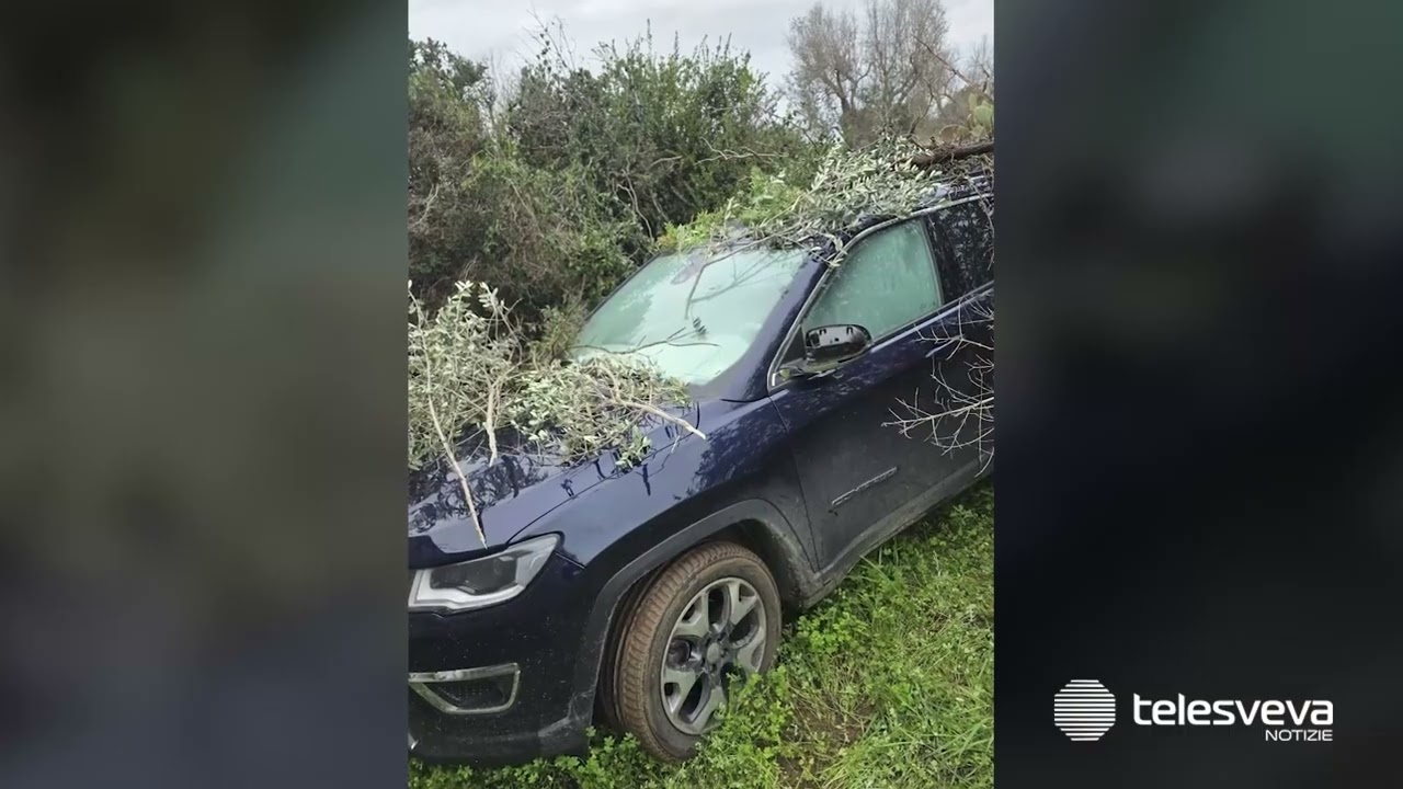 Assalto a portavalori sulla Brindisi-Lecce: l’ombra della mafia dietro l’azione paramilitare