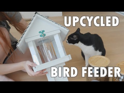 I tried to make a bird feeder