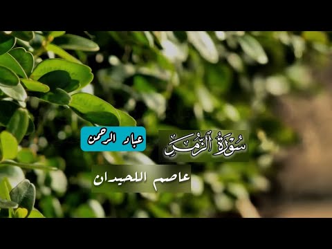 سورة الزمر كاملة عاصم اللحيدان مكتوبة
