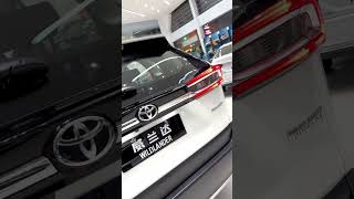 Toyota Wildlander 2.0Lclassic Gasoline Edition, Global All-Round King