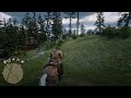 Red Dead Redemption 2_2025 NEAT