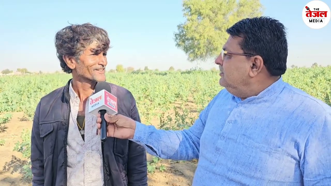 भिंडूरों ( सूअरों ) से परेशान किसान, कौन करेगा सुनवाई...