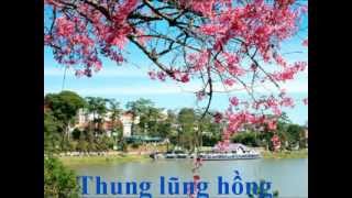 Video thumbnail of "thung lũng hồng (ca sĩ Khánh-Ly) Phạm Mạnh Cương"