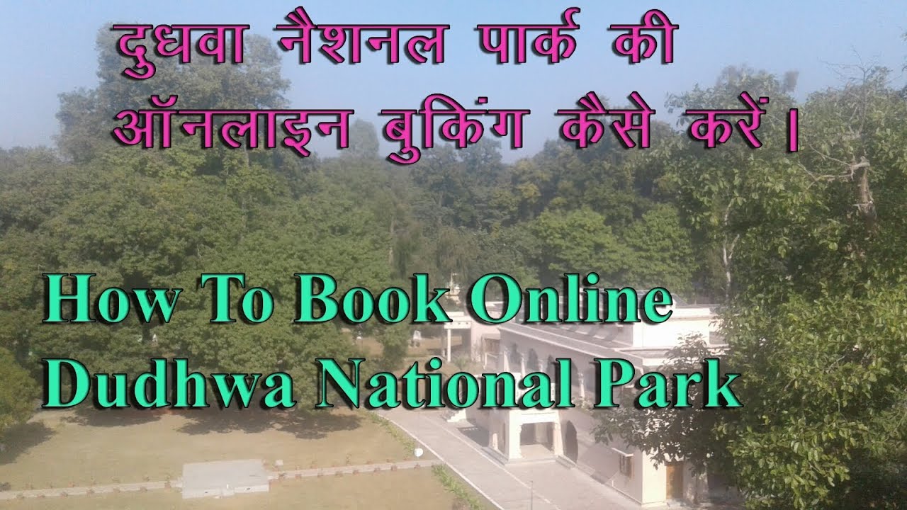 dudhwa safari booking